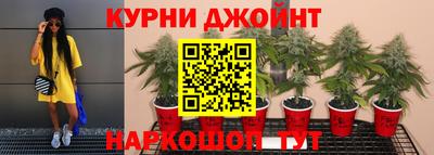 Альфа ПВП Анапа