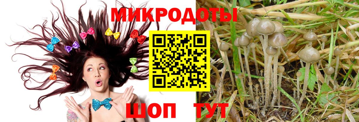 Псилоцибиновые грибы Psilocybine cubensis Видное